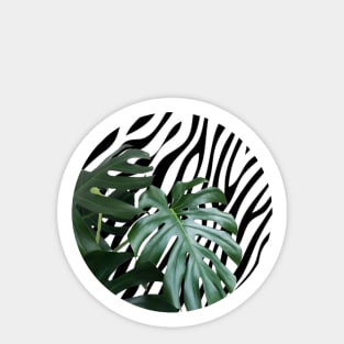 Tropical Sticker